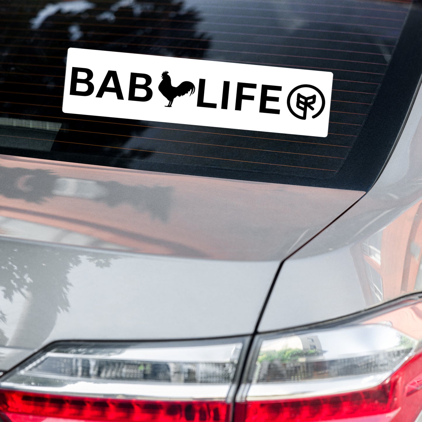 "Babcock Life" Bubble-free sticker for Babcock Ranch residents